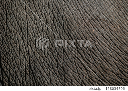 Real Elephant skin texture. Animal wrinkles Texture. Thai elephant nature pattern for background Real Elephant skin texture. Animal wrinkles Texture. Thai elephant nature pattern for background 138034806
