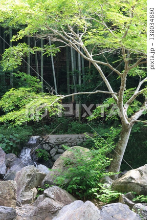 川と岩と木 川と岩と木 138034880