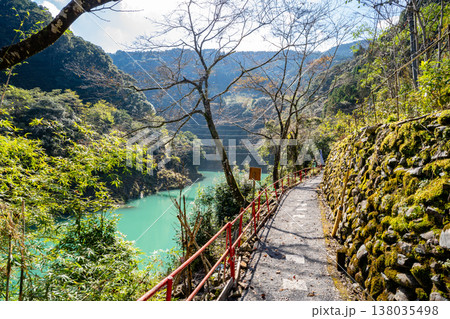 速開都比売神社の湯之内吊橋（西都市） 138035498