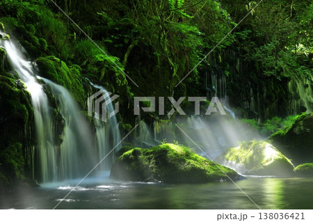 苔むす沢 138036421