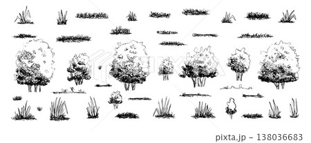 Tree, bushes and grass sketch line art. Ink brush black park elements illustration. Vintage forest shrubs, ink landscape vector shapes. Garden bushes silhouette isolated on white bg 138036683