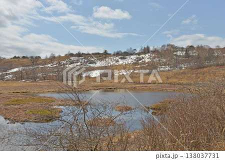 八島湿原　長野県霧ヶ峰高原 138037731