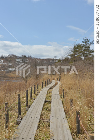八島湿原 長野県霧ヶ峰高原 八島湿原 長野県霧ヶ峰高原 138037732