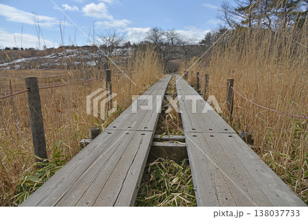八島湿原 長野県霧ヶ峰高原 八島湿原 長野県霧ヶ峰高原 138037733