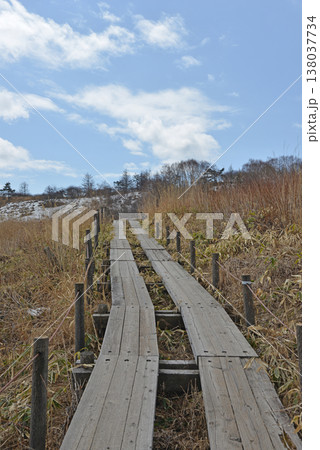 八島湿原　長野県霧ヶ峰高原 138037734