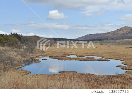 八島湿原 長野県霧ヶ峰高原 八島湿原 長野県霧ヶ峰高原 138037736