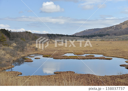 八島湿原 長野県霧ヶ峰高原 八島湿原 長野県霧ヶ峰高原 138037737
