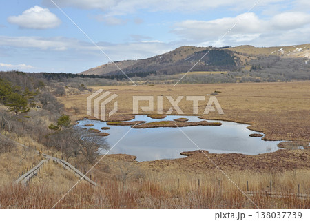 八島湿原　長野県霧ヶ峰高原 138037739