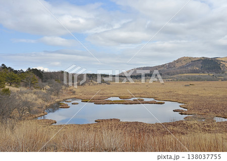 八島湿原　長野県霧ヶ峰高原 138037755