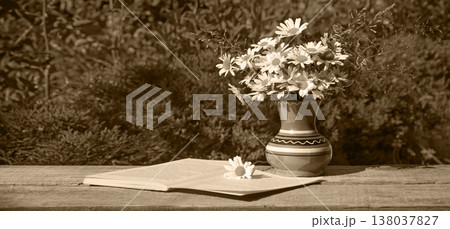 Camomiles in the vase and book 138037827