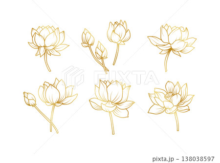 Elegant golden lotus flower vector set with blooming blossoms and buds in fine line art style for luxury branding spa wellness and spiritual design 138038597