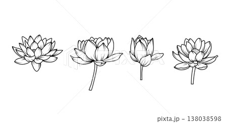 Minimalist black lotus flower line art vector set with blooming blossoms and buds in elegant hand drawn style for spa wellness and coloring page design 138038598