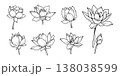 Minimalist lotus flower line art vector set with blooming blossoms and buds in elegant hand drawn style for spa wellness and spiritual design 138038599