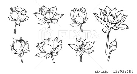 Minimalist lotus flower line art vector set with blooming blossoms and buds in elegant hand drawn style for spa wellness and spiritual design Minimalist lotus flower line art vector set with blooming blossoms and buds in elegant hand drawn style for spa wellness and spiritual design 138038599
