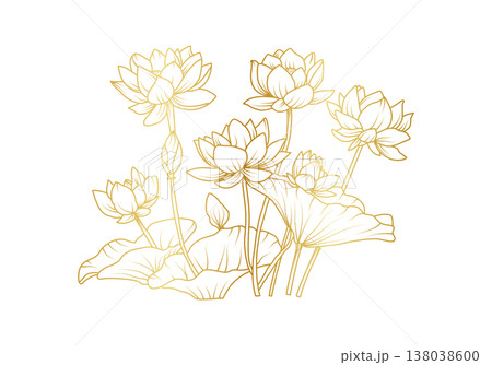 Elegant golden lotus flower line art vector illustration with blooming lily pads and buds for luxury branding spa wellness and spiritual design 138038600