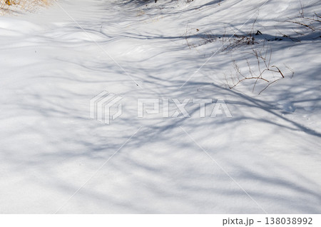 雪と木の影が作り出す世界 雪と木の影が作り出す世界 138038992