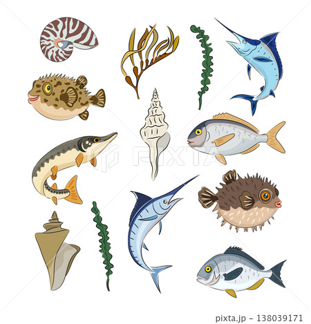 A set of sea creatures, fish, pufferfish, marlin, pike, shells, and seaweed. Flat vector images of marine animals and plants isolated on a white background. Hand drawn, scribble. 138039171