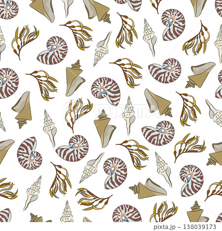 Seamless pattern marine with shells, seaweed, nautilus clams, and seaweed. Decorative flat vector illustration. Hand drawn, scribble. Seamless pattern marine with shells, seaweed, nautilus clams, and seaweed. Decorative flat vector illustration. Hand drawn, scribble. 138039173