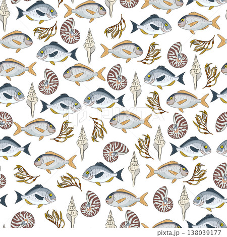 Seamless pattern sea with fish, shells and seaweed, flat vector background with nautilus shells and tropical fish. Hand drawn, scribble. 138039177