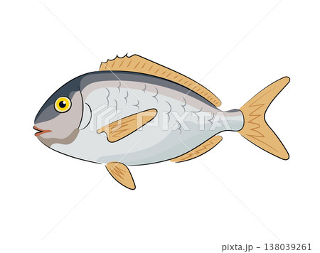 Silver sea fish with yellow fins, flat vector illustration, cartoon style, seafood, animal isolated on white background. Hand drawn, scribble. 138039261