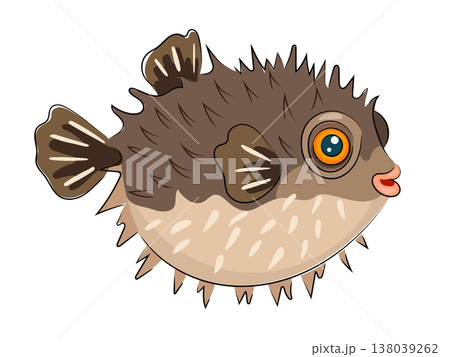 Cartoon puffer fish, cute spiny fugu fish, sea animal, tropical ocean fish flat vector illustration isolated on white background. Hand drawn, scribble. 138039262