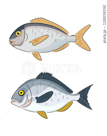 Silver sea fish with yellow fins, flat vector illustration, cartoon style, seafood, animal isolated on white background. Hand drawn, scribble. 138039392