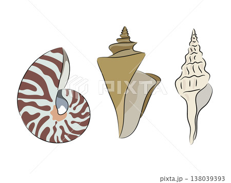 A collection of seashells, nautiluses, conchs, and spiral shells. Flat vector illustrations of seashells isolated on white background. Hand drawn, scribble. 138039393