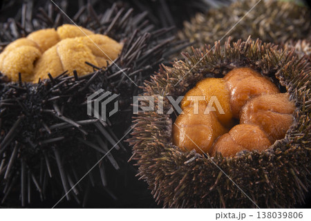 ウニの殻と美味しいウニ 138039806