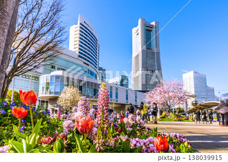 日本の横浜都市景観3月23日。エアキャビンの桜木町駅やヒューリックみなとみらい、桜、花などを望む 138039915