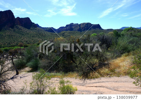 Salt River Recreation Area Arizona Salt River Recreation Area Arizona 138039977