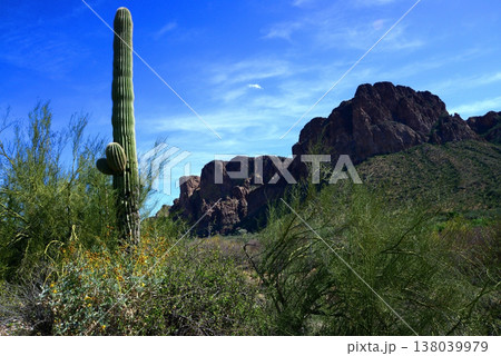 Salt River Recreation Area Arizona 138039979
