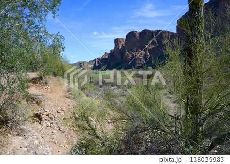 Salt River Recreation Area Arizona 138039983