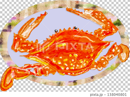 佐賀県名物 竹崎カニ 138040801
