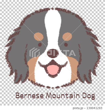 バーニーズマウンテンドッグの顔アイコン-名前入り 138041283