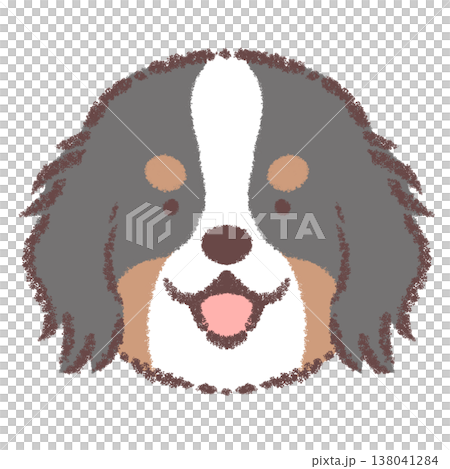 バーニーズマウンテンドッグの顔アイコン 138041284