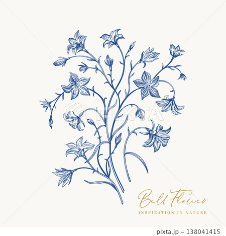 Hand-drawn bell flower bouquet Hand-drawn bell flower bouquet 138041415