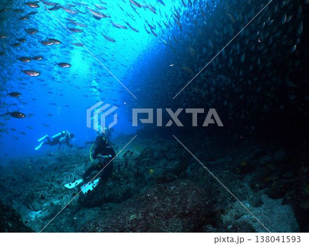 メキシコのラパス沖合にて、迫りくる魚壁と対峙するダイバー 138041593