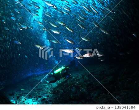 メキシコのラパス沖合にて、目前の魚壁に押しつぶされそうになっているダイバー 138041594