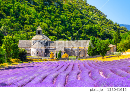 Senanque Abbey Gordes Provence Lavender fields Notre-Dame de Senanque, Luberon, France. Europe 138041613
