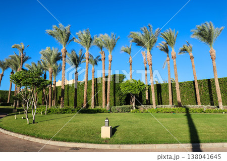 A house behind a fence of bushes, greenery and palm trees A house behind a fence of bushes, greenery and palm trees 138041645