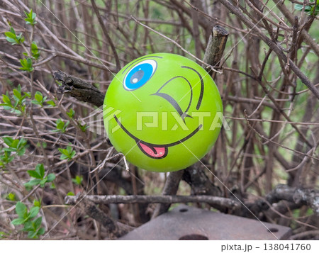 Green smiley balloon caught in leafless shrub branches in outdoor garden setting. Playful litter narrative, environmental contrast, discarded object, childhood symbol, urban nature interaction concept 138041760