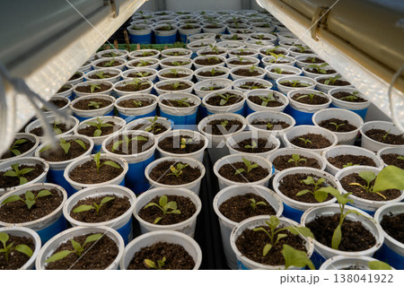 Experiment Exploring Plant Growth With Automated Monitoring And Environmental Control Technologies Experiment Exploring Plant Growth With Automated Monitoring And Environmental Control Technologies 138041922