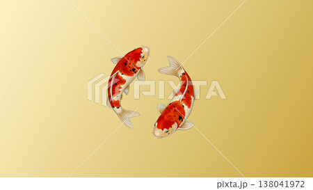 金和紙グラデーション背景で斜めに巡る二匹の錦鯉 上品で縁起の良い和風イラスト 138041972