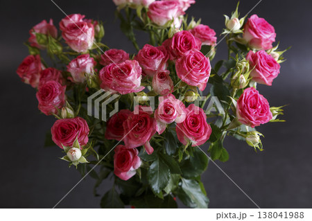 Beautiful bouquet of pink (red) roses bushes with water drops on a black background. Selective focus, close-up. Beautiful bouquet of pink (red) roses bushes with water drops on a black background. Selective focus, close-up. 138041988