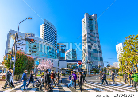日本の横浜都市景観3月23日。エアキャビンの桜木町駅やヒューリックみなとみらい、満開の桜などを望む 138042017