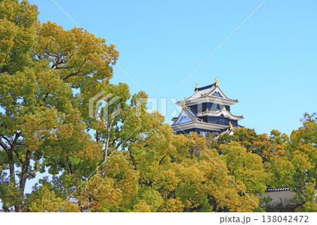 岡山県岡山市、岡山城の風景 岡山県岡山市、岡山城の風景 138042472