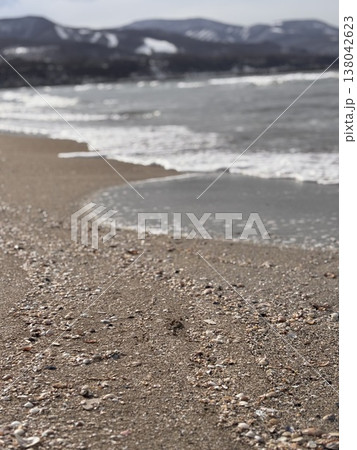 貝殻と砂浜 貝殻と砂浜 138042623