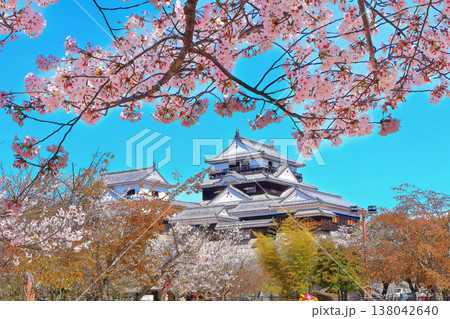 【愛媛県】桜咲く春の松山城（現存天守） 138042640