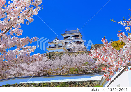 【愛媛県】桜咲く春の大洲城 138042641
