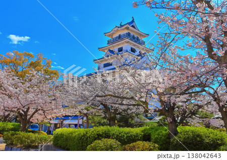 【愛媛県】桜咲く春の今治城（日本三大水城） 138042643
